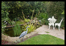 Garden 12